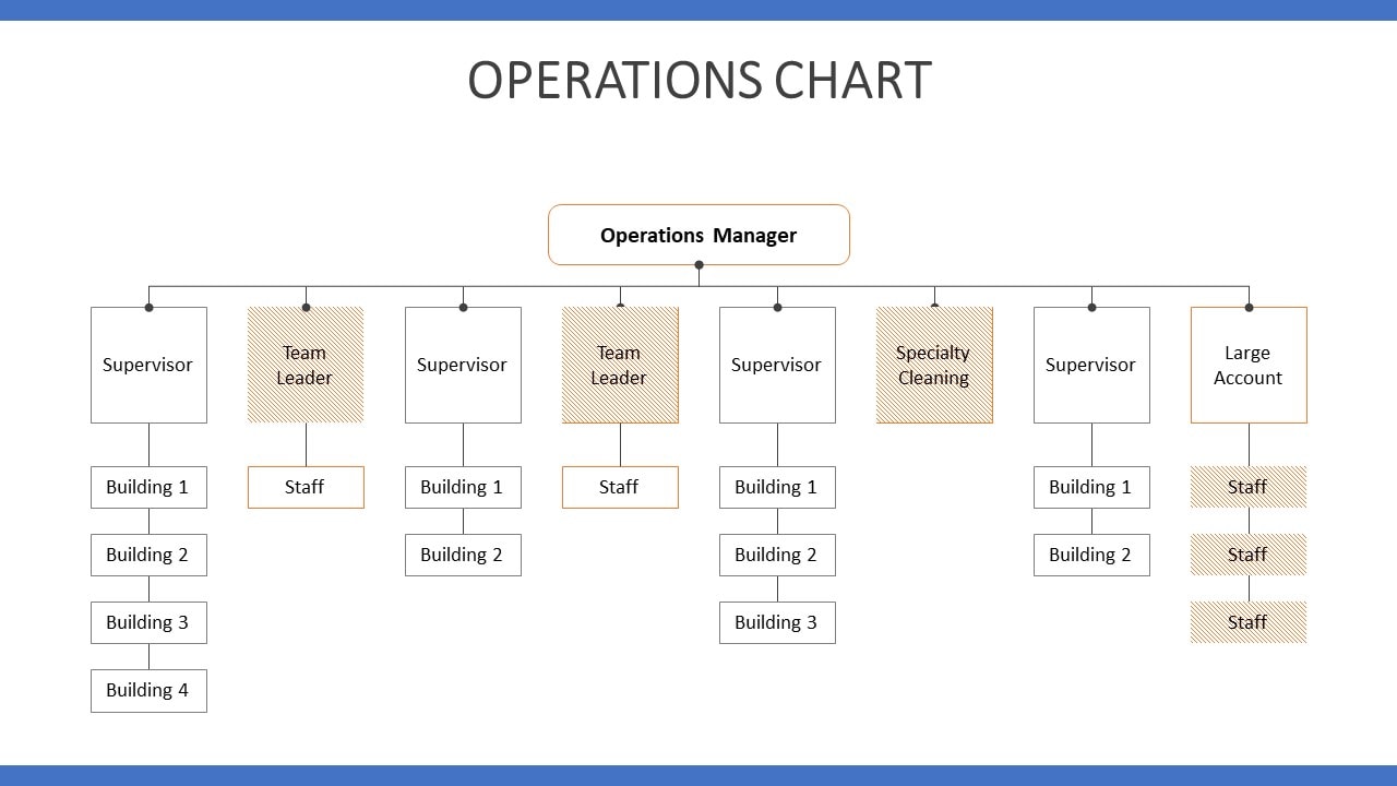 Management Structure Chart