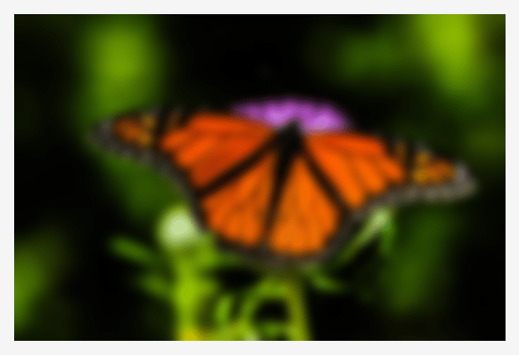 Blurred butterfly background for a blog post about SEO pricing for cleaning companies.