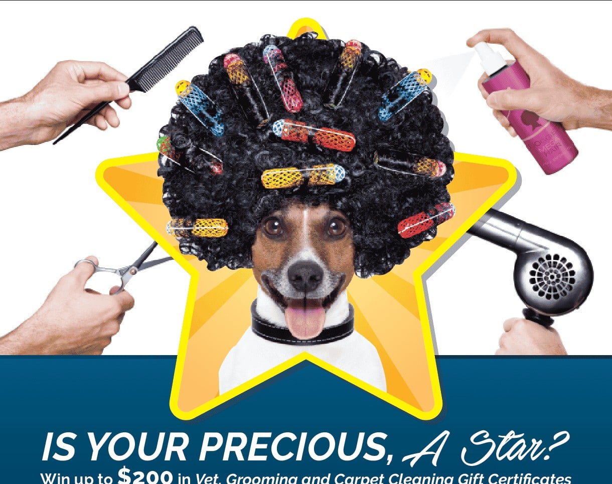 Sample Facebook ad using positive framing for cleaning business promotion
