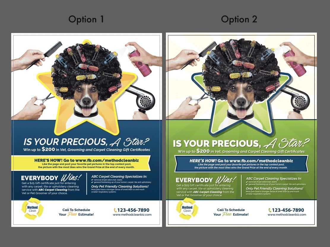 Side-by-side comparison of Facebook ad designs for cleaning and grooming promotion