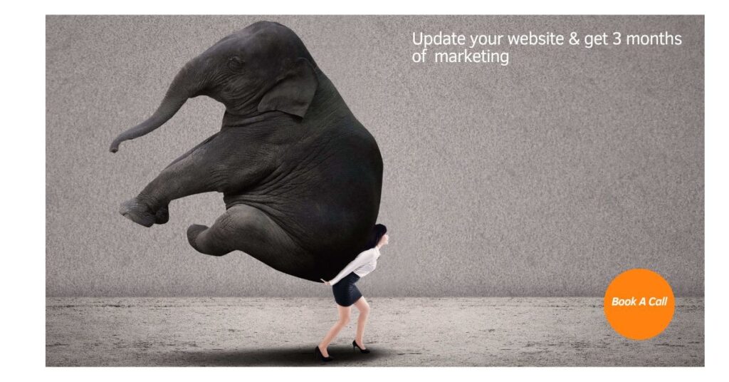 Businesswoman struggling to carry a heavy elephant, metaphor for the weight of running a cleaning business without website or marketing support