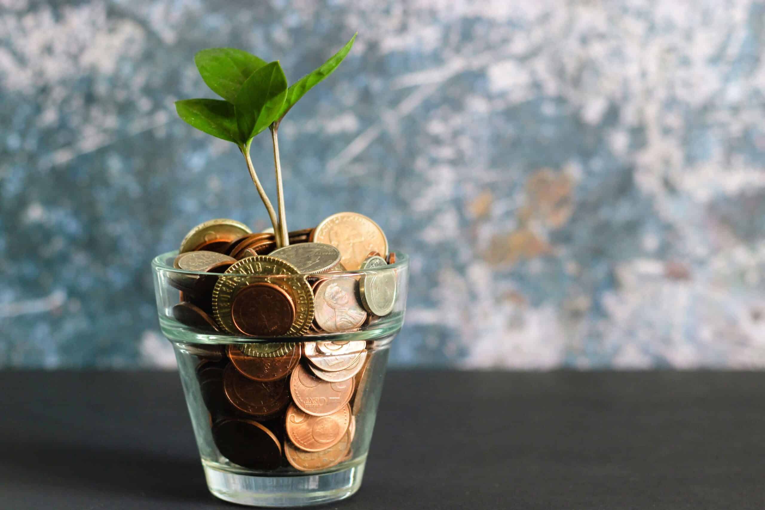 A plant growing from a jar of coins, symbolizing ROI growth through follow-up strategies after Google Ads leads for cleaning businesses